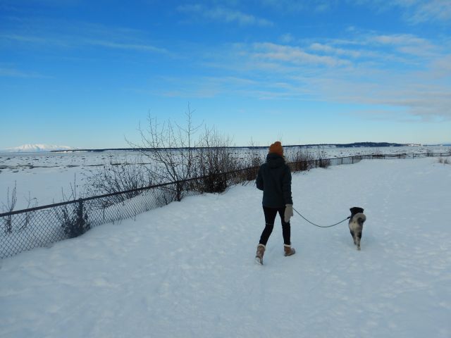 jubilee on a walk