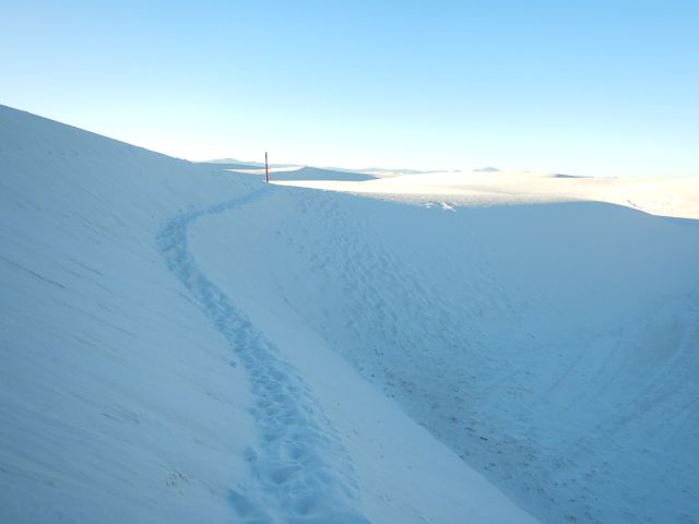 white sands