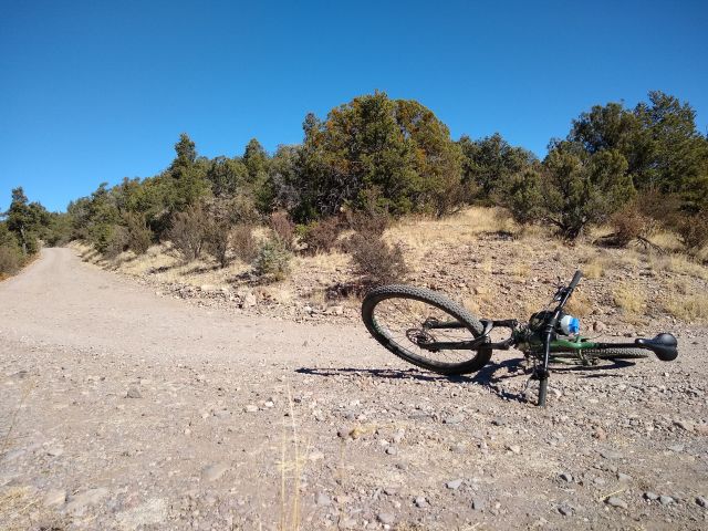 nearly to the top of a mountain bike