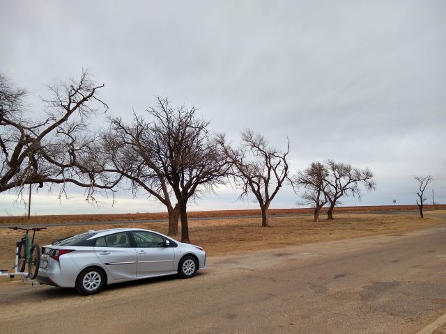 scraggly rest stop trees and the prius