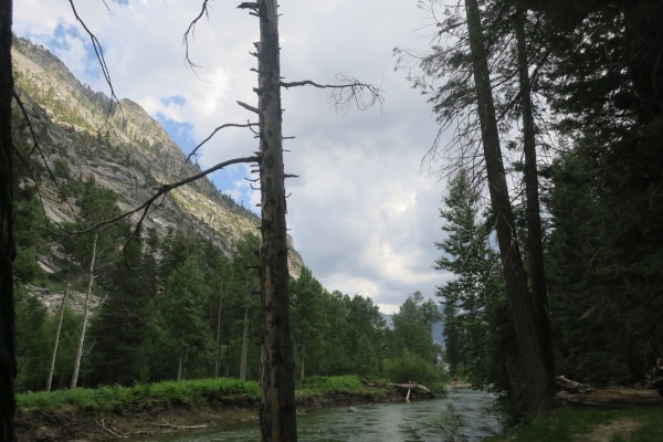 creek campsite photo 2