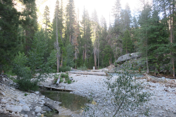 creek campsite photo 1