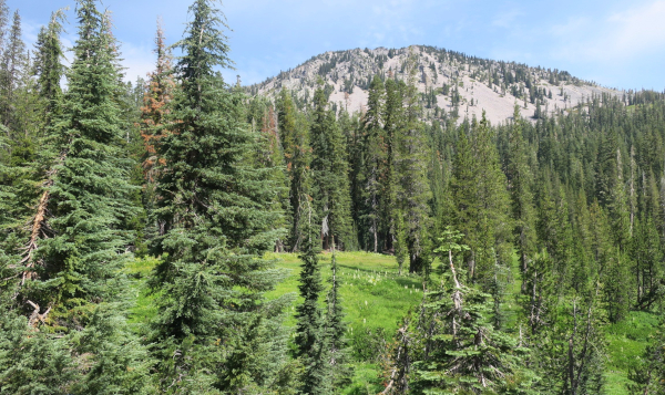 view of lassen volcano