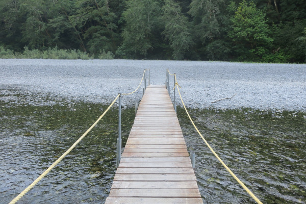 wooden bridge in redwood national park